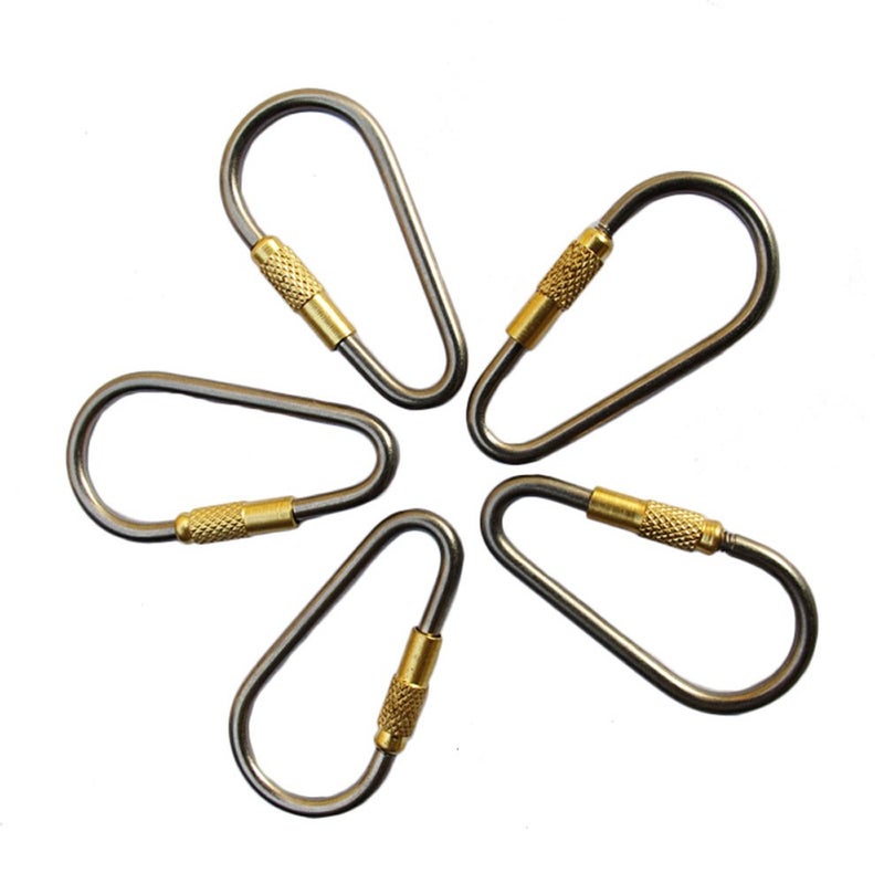 EKLOEN 5pcs MINI Titanium Locking Carabiner, Perfect D-Ring for Outdoor and Indoor Use - Image 1